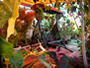 See details of the Hostal 