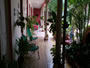 See details of the Hostal